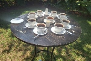 Limuru: Fairview Coffee Estate Guided Tour