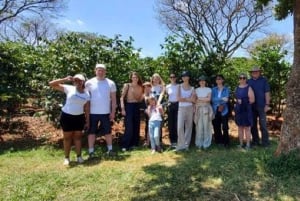 Limuru: Fairview Coffee Estate Guided Tour