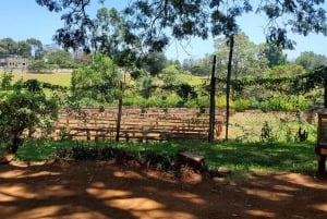 Limuru: Fairview Coffee Estate Guided Tour