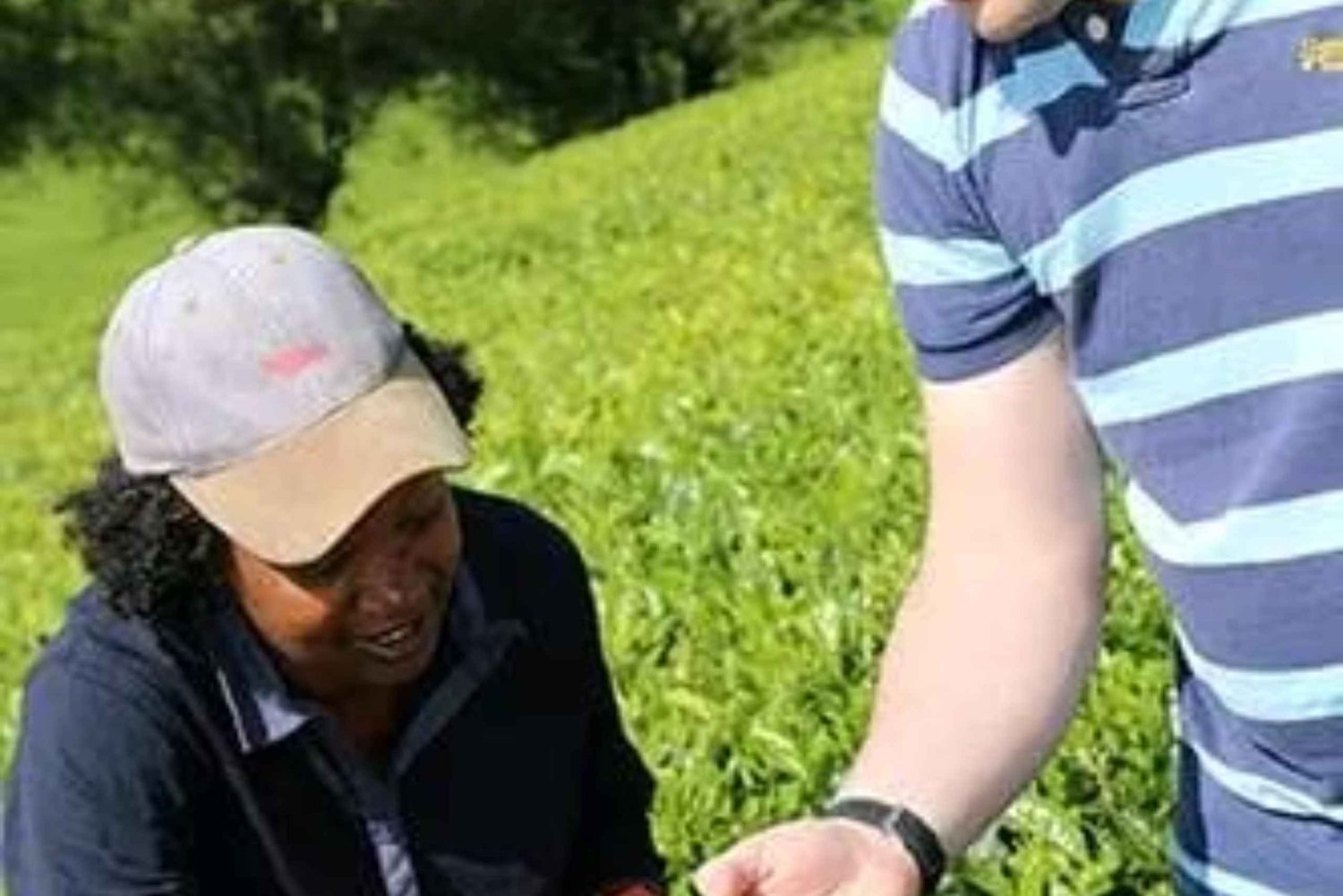 Limuru: Karai Tea Estate Tour with Hike and Lunch