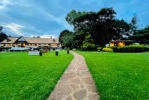 Nairobi: Purppurateetarhan kierros ja maistelupäiväretki