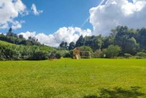 Nairobi: Purppurateetarhan kierros ja maistelupäiväretki