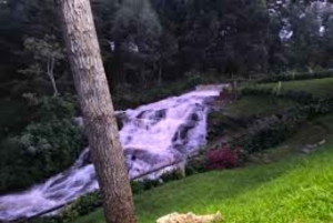 Nairobi: Purppurateetarhan kierros ja maistelupäiväretki