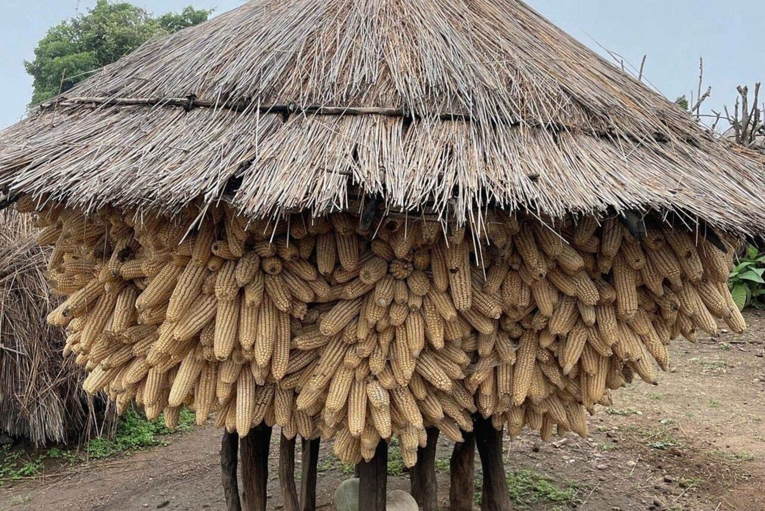 Lokichoggio: opastettu kierros rajamarkkinoilla ja kylässä, välipalat