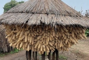 Lokichoggio: opastettu kierros rajamarkkinoilla ja kylässä, välipalat