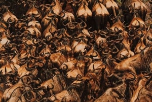 Maasai Mara: 3-tägige private Safari mit Pirschfahrten