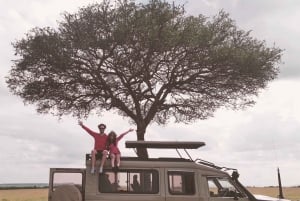 Maasai Mara: 3-tägige private Safari mit Pirschfahrten