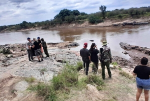 Viagem de 1 dia a Maasai Mara com serviço de busca em Nairóbi