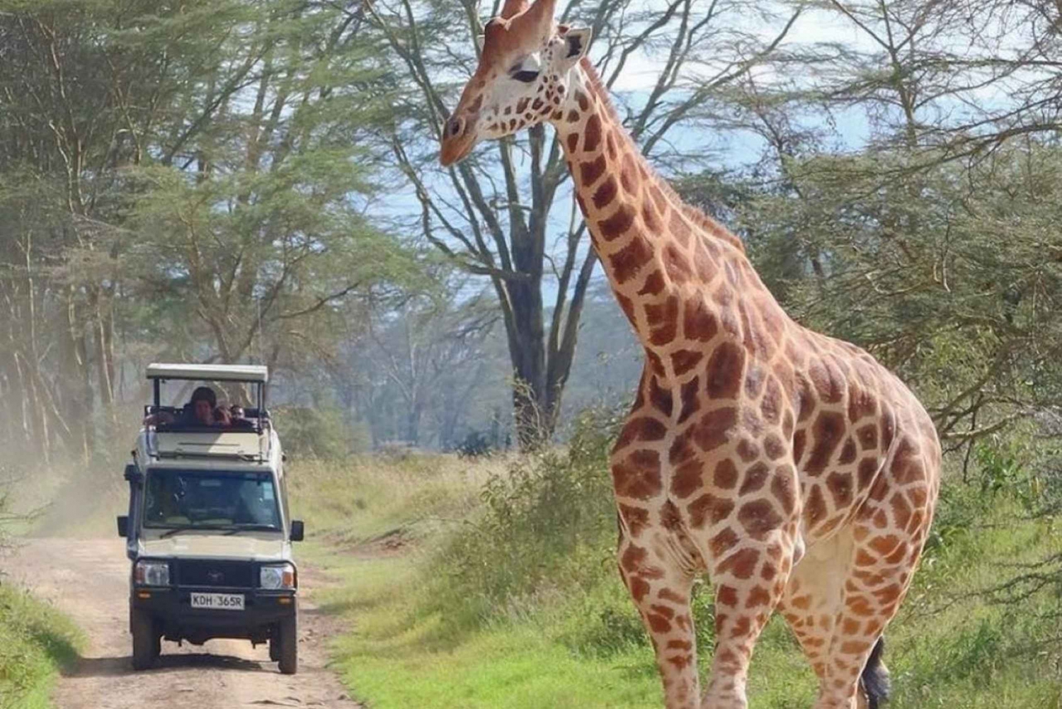 Maasai Mara: Safari z atrakcjami i ekskluzywne przejażdżki zwierzyną