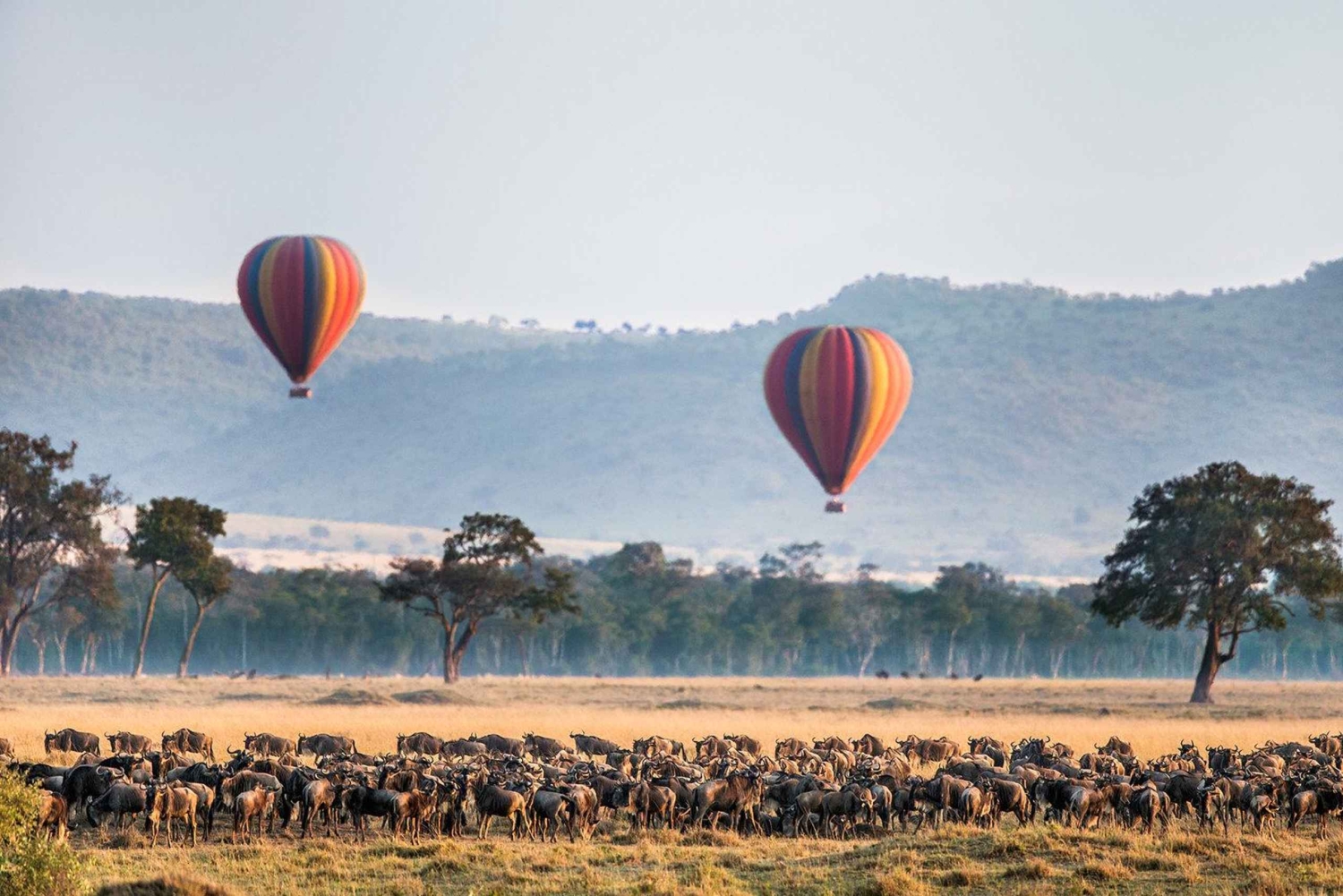 Maasai Mara: Safari em balão de ar quente e pequeno-almoço com champanhe