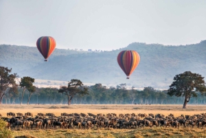 Maasai Mara: Safari em balão de ar quente e pequeno-almoço com champanhe