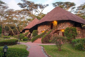 Cape Town: 4-Day Garden Route Adventure