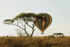 Maasai Mara: Hot Air Balloon Safari with Champagne Breakfast