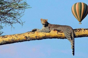 Maasai Mara: Hot Air Balloon Safari with Champagne Breakfast