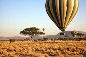 Maasai Mara: Hot Air Balloon Safari with Champagne Breakfast