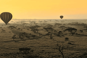 Maasai Mara: Hot Air Balloon Safari with Champagne Breakfast