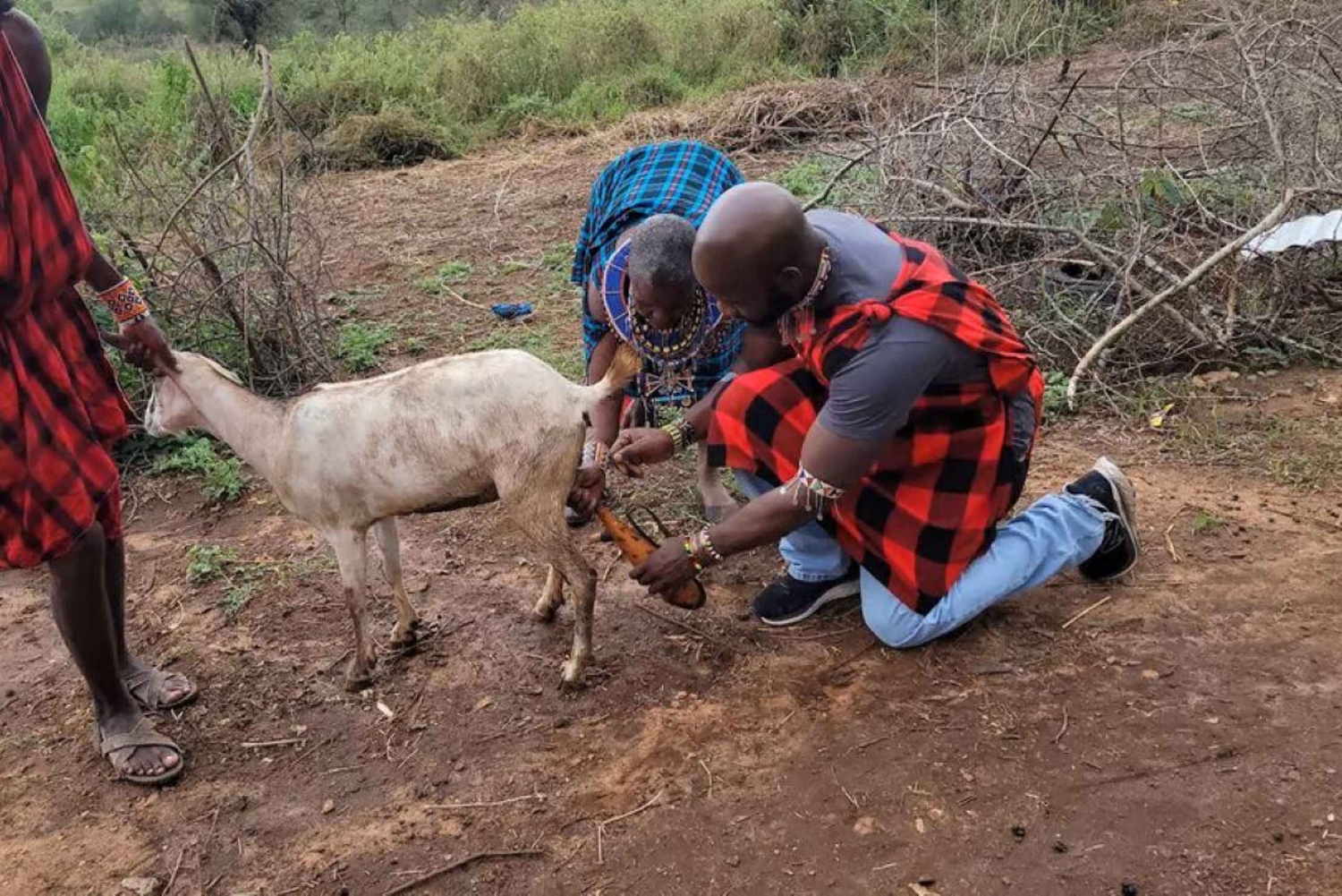 Экскурсия по традиционной деревне Масаи