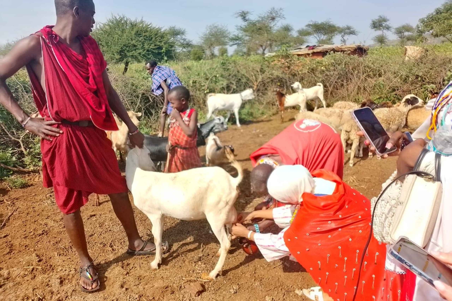 Villaggio Maasai: scopri la cultura e le tradizioni Maasai