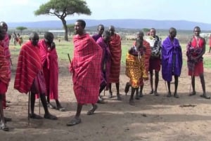 Kulturell rundtur i Maasai-by