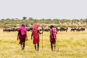 Kulturell rundtur i Maasai-by