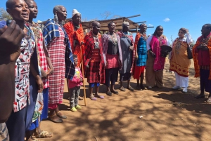 Vanuit Nairobi: dagtour naar een traditioneel Maasai-dorp