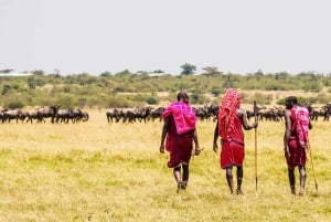 Kulturell rundtur i Maasai-by