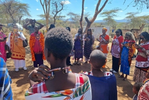 Vanuit Nairobi: dagtour naar een traditioneel Maasai-dorp