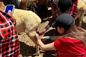 Maasai Village Experience: Dagstur