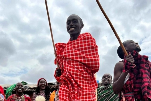 Experiencia en la aldea masai: Excursión de un día