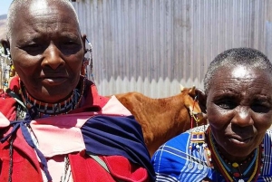 Upplevelse i byn Maasai: Dagstur