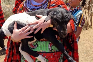 Maasai dorp ervaring: Dagtocht