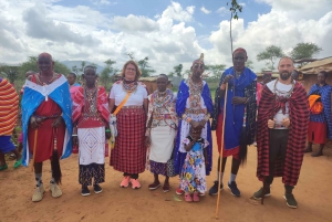 Experiencia en la aldea masai: Excursión de un día