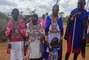 Expérience du village Maasai : Excursion d'une journée