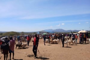 Nairobi: Maasai Village Authentic Experience Day Tour