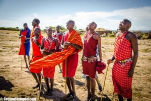 Bird Watching Tours in Kenya: A Springtime Delight