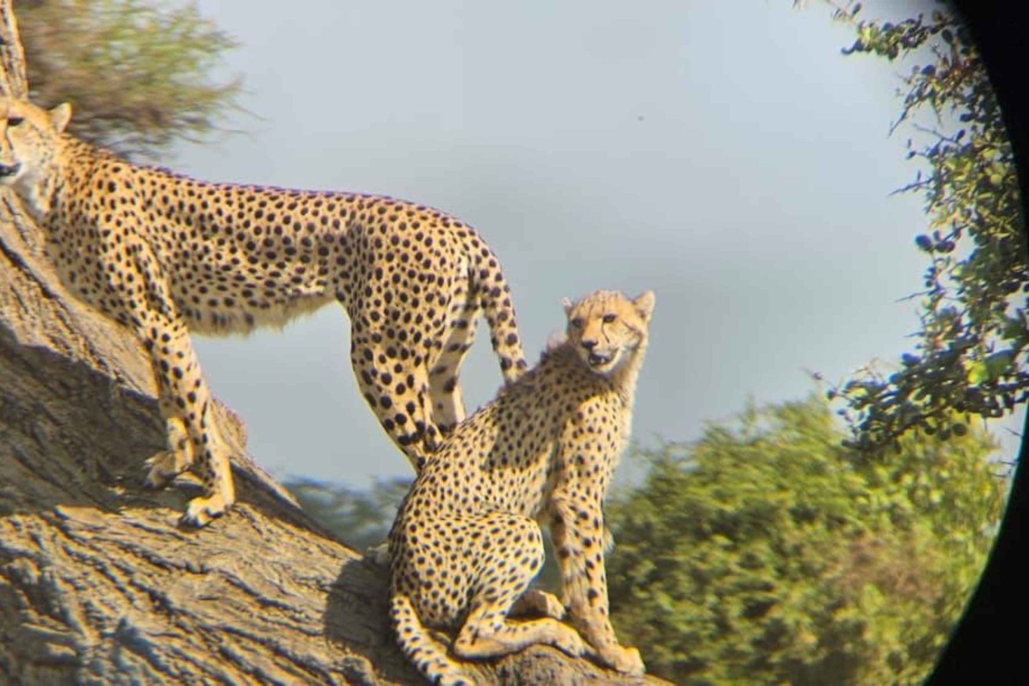 Malindi: 2-Day Tsavo East National Park Safari with Pickup