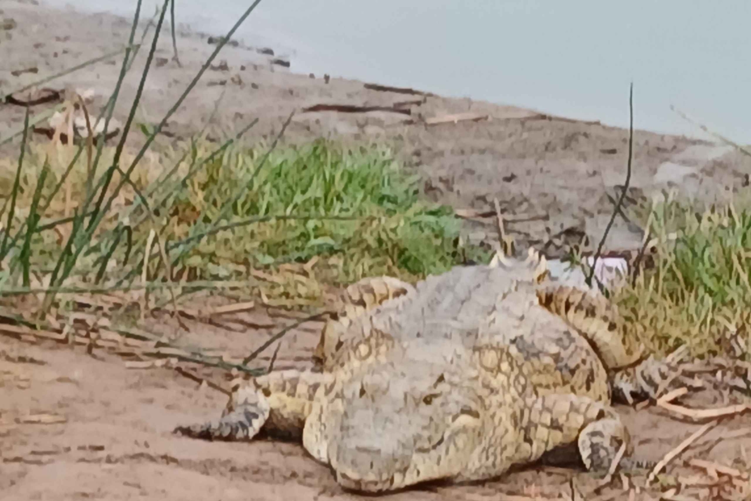 Malindi: 2-Day Tsavo East National Park Safari with Pickup