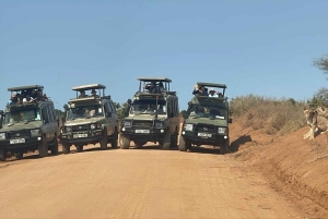 Malindi: 2-Day Tsavo East National Park Safari with Pickup