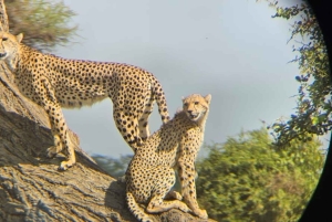 Malindi: 2-Day Tsavo East National Park Safari with Pickup