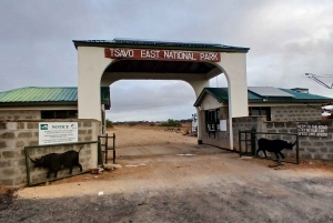 Malindi: 2-Day Tsavo East National Park Safari with Pickup