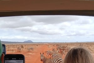 Malindi: 2-Day Tsavo East National Park Safari with Pickup