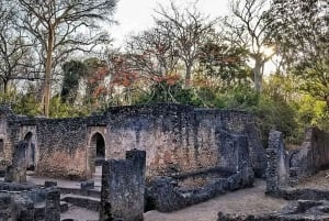 Malindi City : Excursion et visite d'une demi-journée historique.