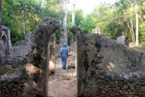 Malindi: Tour di un giorno della città con le rovine di Gede