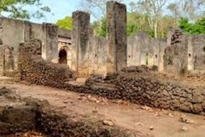 Malindi: Tour di un giorno della città con le rovine di Gede