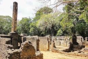 Malindi: Tour di un giorno della città con le rovine di Gede