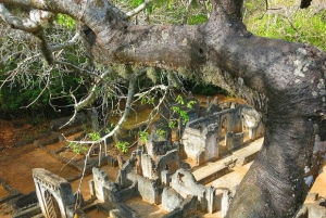 Malindi: ruinas de Gede, Watamu y tour de la ciudad
