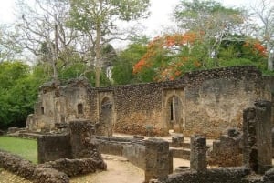 Malindi: ruinas de Gede, Watamu y tour de la ciudad