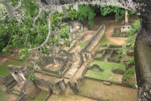 Malindi: ruinas de Gede, Watamu y tour de la ciudad