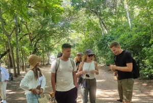 Malindi: ruinas de Gede, Watamu y tour de la ciudad