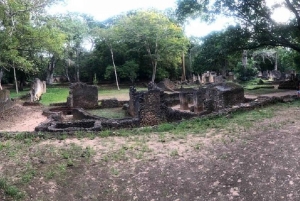 Malindi: ruinas de Gede, Watamu y tour de la ciudad